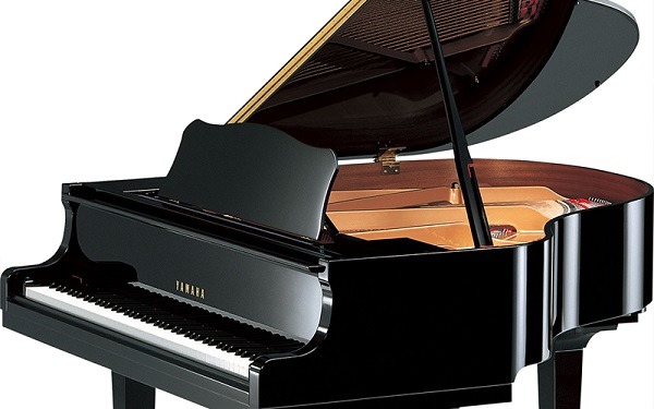 Đàn Yamaha Grand cho không gian rộng