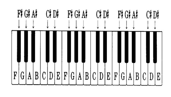 4-Hướng-dẫn-xem-ký-hiệu-phím-đàn-piano-đơn-giản-dễ-nhận-biết