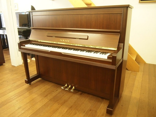 dan piano yamaha