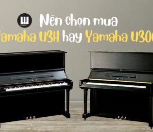 Mới học piano nên mua đàn nào? Yamaha U3H hay Yamaha U300